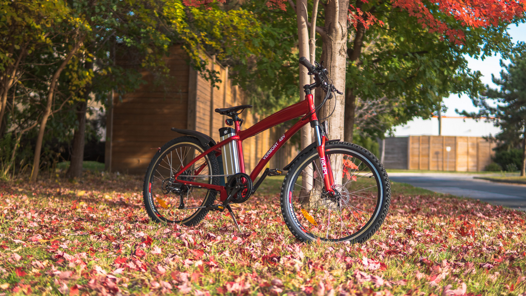 e bike battery care