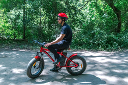 Ebikes Overview: Understanding the Basics of electric bikes
