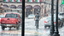 Defensive Riding 101