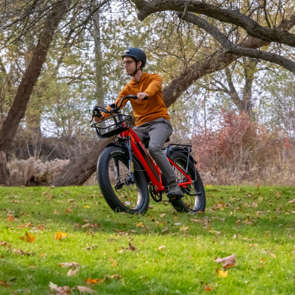 Daymak Wild Goose S - Fat Tire Electric Bicycle