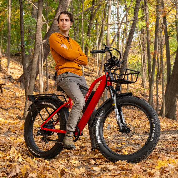 Daymak Wild Goose S - Fat Tire Electric Bicycle