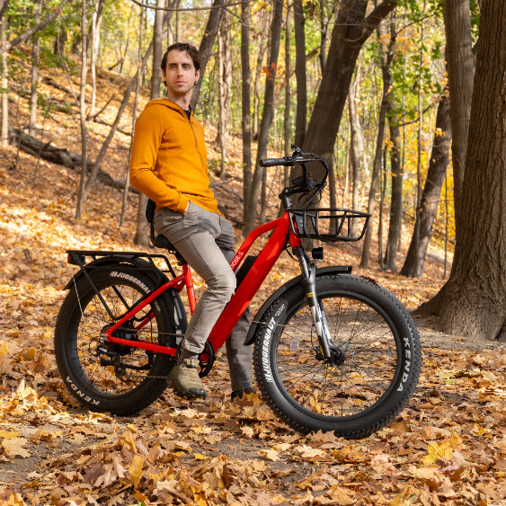 Daymak Wild Goose S - Fat Tire Electric Bicycle