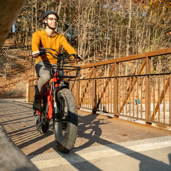 Daymak Wild Goose S - Fat Tire Electric Bicycle