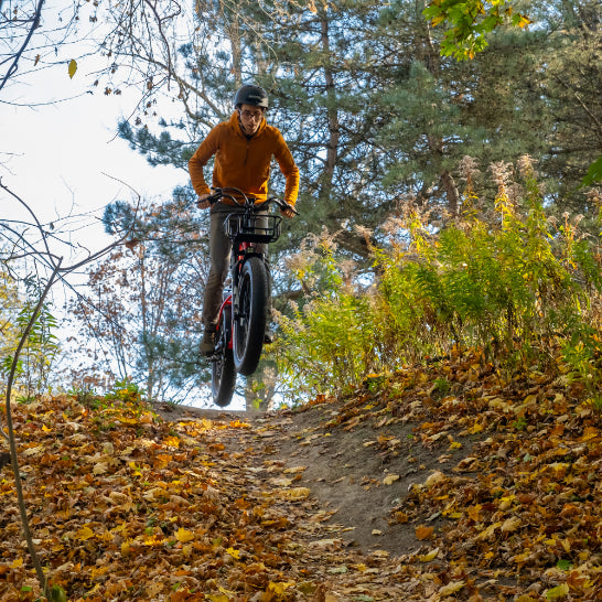 Daymak Wild Goose S - Fat Tire Electric Bicycle