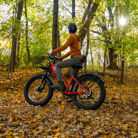 Daymak Wild Goose S - Fat Tire Electric Bicycle