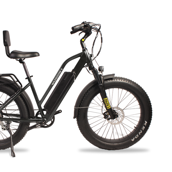 Daymak Wild Goose S - Fat Tire Electric Bicycle