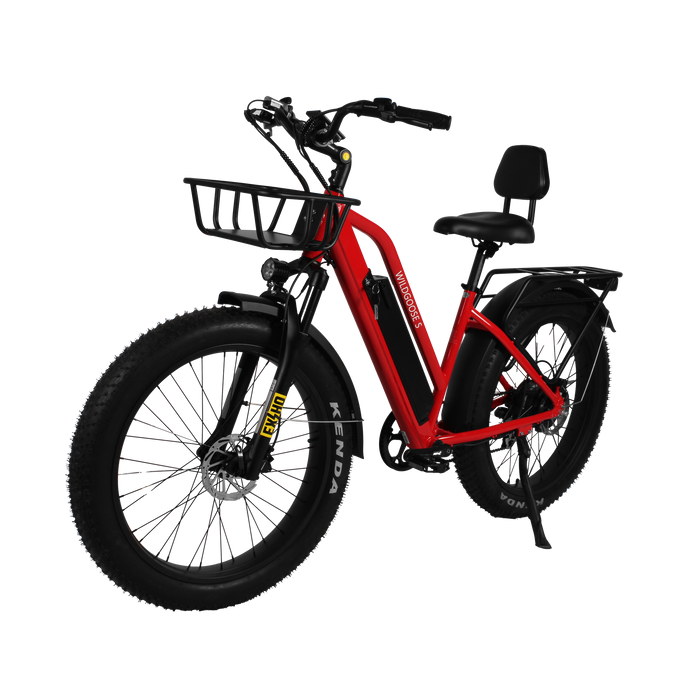 Daymak Wild Goose S - Fat Tire Electric Bicycle