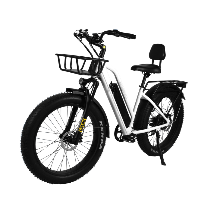 Daymak Wild Goose S - Fat Tire Electric Bicycle