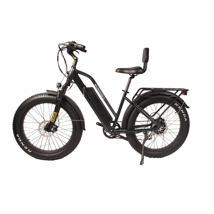 Daymak Wild Goose S - Fat Tire Electric Bicycle