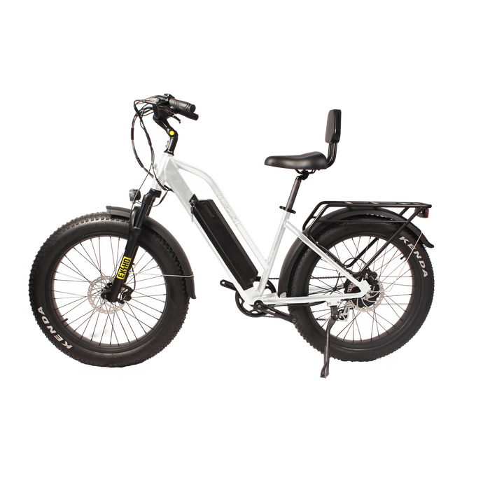 Daymak Wild Goose S - Fat Tire Electric Bicycle