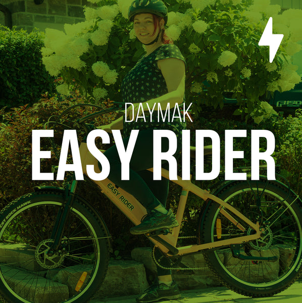 Vélo électrique Daymak Easy Rider 48V