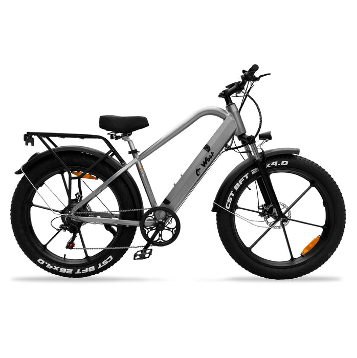 Daymak Wolf 48V Fat Tire Electric Bicycle